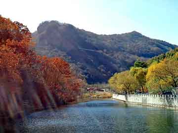 新澳天天开奖资料大全旅游团，汝阳杜康酒价格